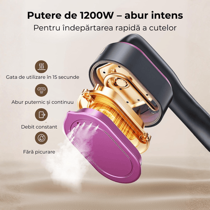 Aparat De Calcat Cu Abur Portabil Vertical/Orizontal
